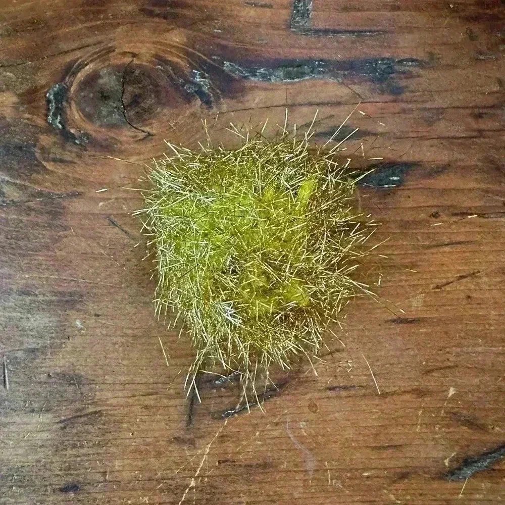 Yellow Sparkle Cat Toy Ball NWOT